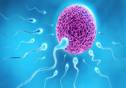 苏州试管婴儿价格：脐带血到底有什么作用，三分钟带你全面了解